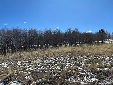 68 Mower Ct, Hartsel, CO 80449