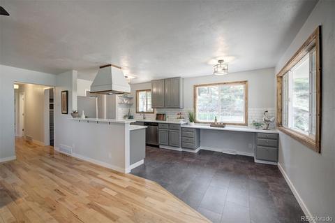 800 Quakie Way, Bailey, CO 80421 photo 19
