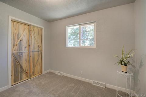 800 Quakie Way, Bailey, CO 80421 photo 25