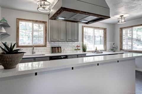 800 Quakie Way, Bailey, CO 80421 photo 10