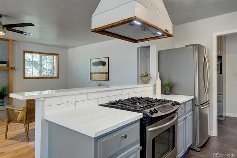 800 Quakie Way, Bailey, CO 80421 photo 8