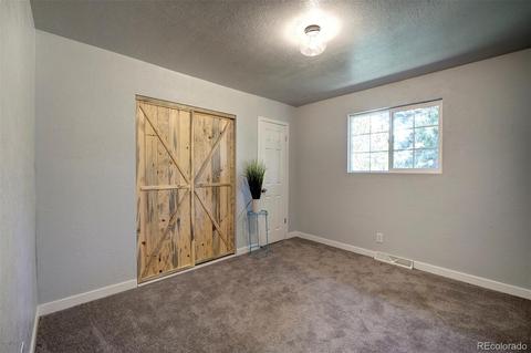 800 Quakie Way, Bailey, CO 80421 photo 24