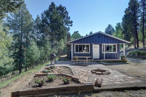 800 Quakie Way, Bailey, CO 80421 photo 3