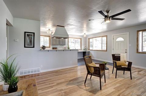 800 Quakie Way, Bailey, CO 80421 photo 13