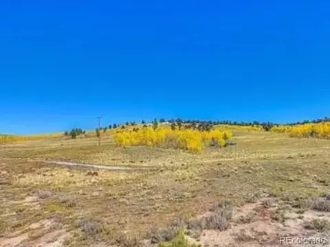 65 Veery Way, Jefferson, CO 80456 photo 17