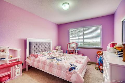 20722 E 38th Pl, Denver, CO 80249 photo 12