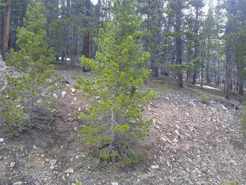 lot417 Glory Hole Rd, Idaho Springs, CO 80452