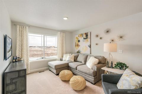 575 Fall River Ct, Brighton, CO 80601 photo 18