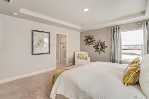 575 Fall River Ct, Brighton, CO 80601 photo 20
