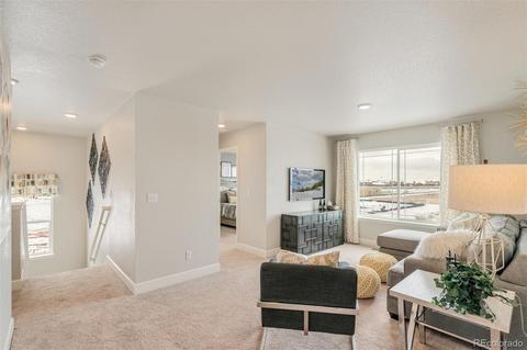 575 Fall River Ct, Brighton, CO 80601 photo 17