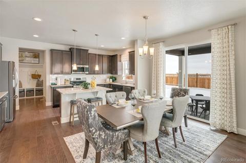 575 Fall River Ct, Brighton, CO 80601 photo 9