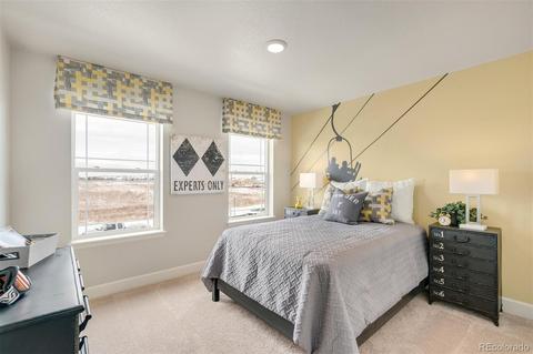 575 Fall River Ct, Brighton, CO 80601 photo 26