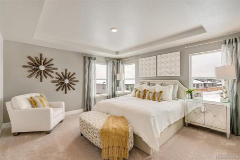 575 Fall River Ct, Brighton, CO 80601 photo 19