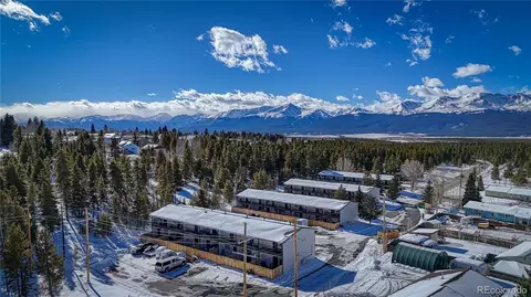 921 Mt Massive Dr #20, Leadville, CO 80461