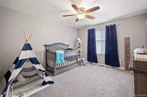 9642 Emerald Vista Dr, Peyton, CO 80831 photo 18