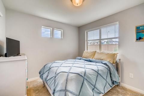 19175 E 55th Ave, Denver, CO 80249 photo 19