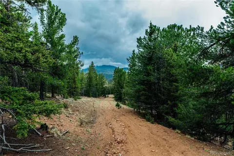 County Road 8, Divide, CO 80814 photo 6
