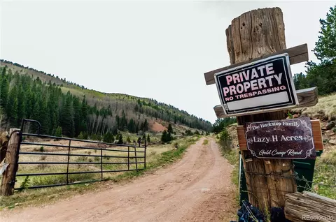 County Road 8, Divide, CO 80814 photo 5