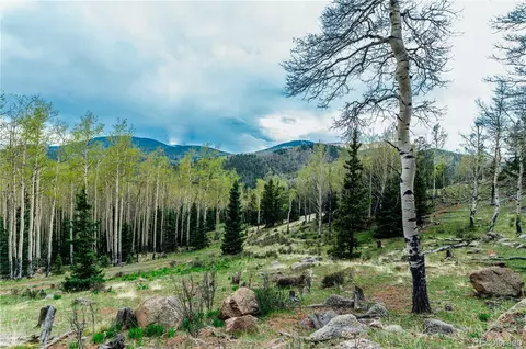 County Road 8, Divide, CO 80814 photo 4