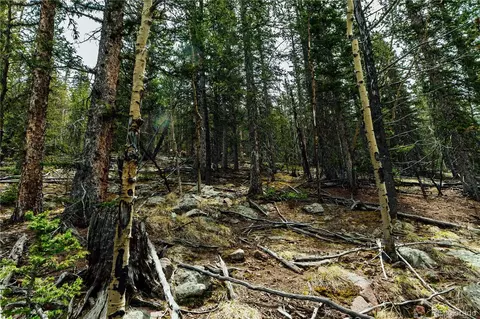 County Road 8, Divide, CO 80814 photo 7