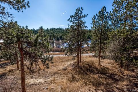 2425 County Road 72, Bailey, CO 80421 photo 23