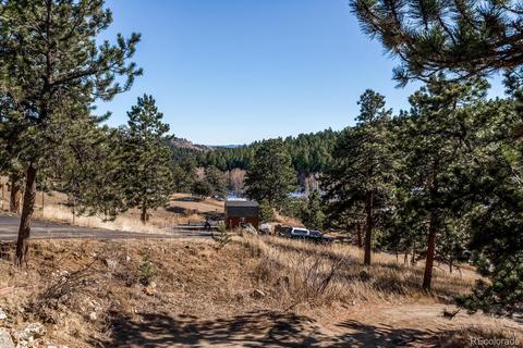 2425 County Road 72, Bailey, CO 80421 photo 24