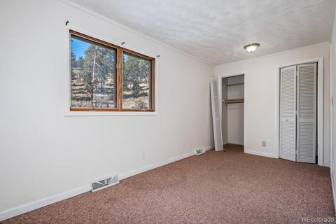 2425 County Road 72, Bailey, CO 80421 photo 10