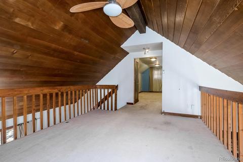 2425 County Road 72, Bailey, CO 80421 photo 15