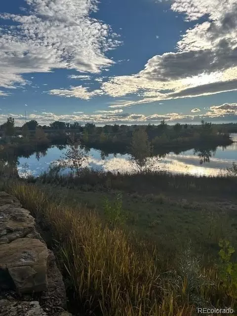 13148 Merrymaker Dr, Longmont, CO 80504 photo 3