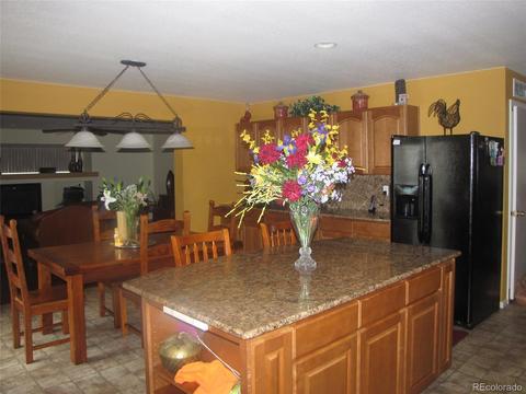 21293 E 48th Dr, Denver, CO 80249 photo 8