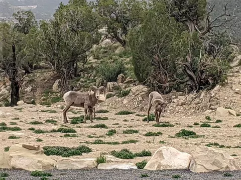 15086 45 12 Rd, De Beque, CO 81630 photo 29