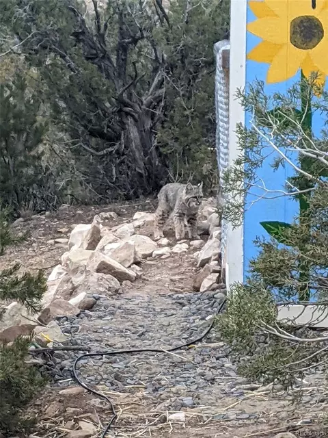 15086 45 12 Rd, De Beque, CO 81630 photo 35