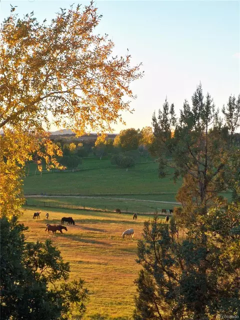 3515 County Road 514, Ignacio, CO 81137 photo 14