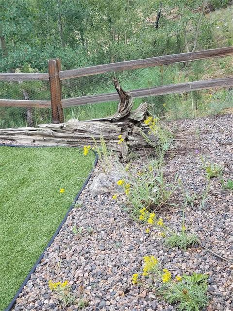 309 Neish St, Bailey, CO 80421 photo 15