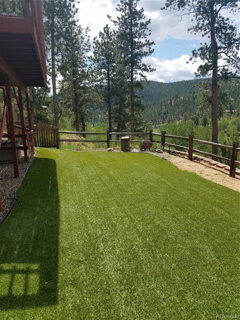 309 Neish St, Bailey, CO 80421 photo 16