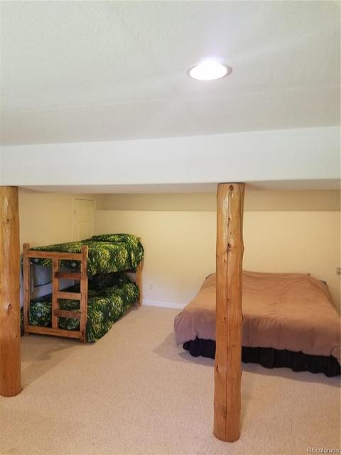 309 Neish St, Bailey, CO 80421 photo 9