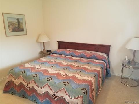 309 Neish St, Bailey, CO 80421 photo 7