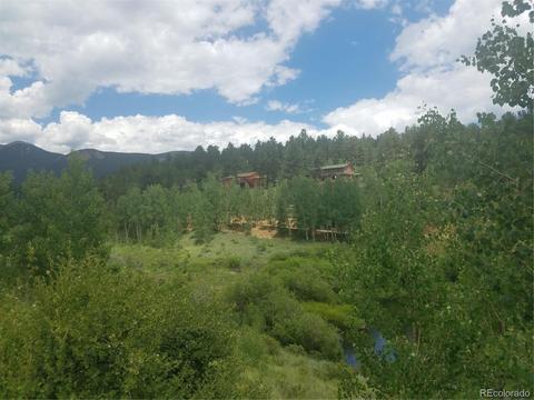 309 Neish St, Bailey, CO 80421 photo 1