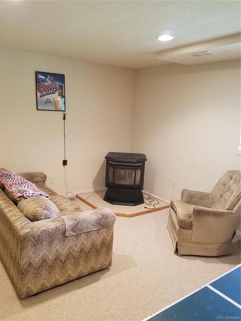 309 Neish St, Bailey, CO 80421 photo 11