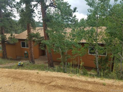 309 Neish St, Bailey, CO 80421 photo 3