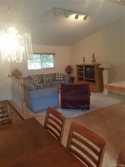 309 Neish St, Bailey, CO 80421 photo 4