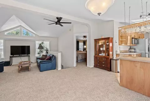 Other - 33626 Lutes Rd, Pine, CO 80470 photo 2 of 11