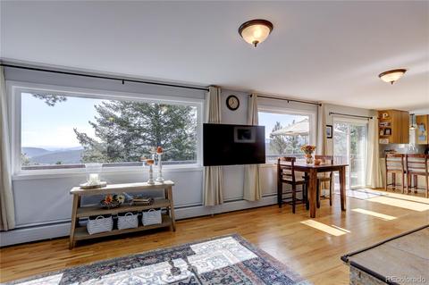 34356 Highview Dr, Pine, CO 80470 photo 14