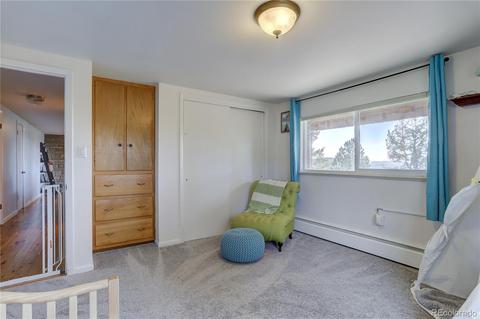 34356 Highview Dr, Pine, CO 80470 photo 28