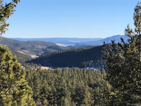 34356 Highview Dr, Pine, CO 80470 photo 40