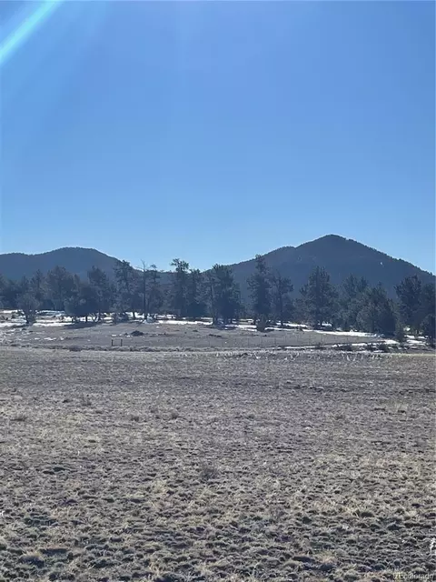 262 Grand Teton Dr, Hartsel, CO 80449