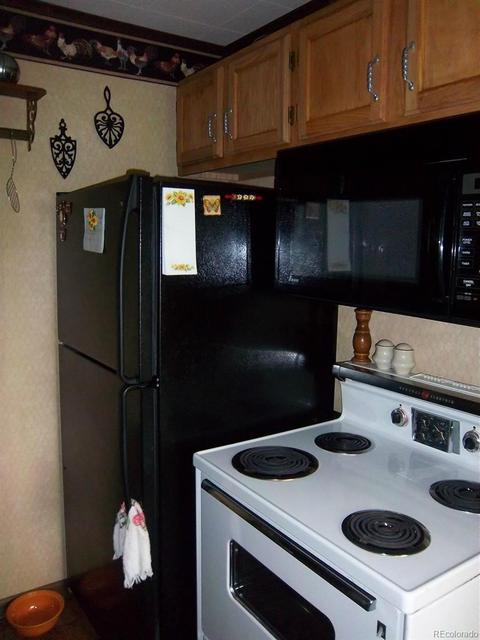 15041 S Delta Ln, Pine, CO 80470 photo 7