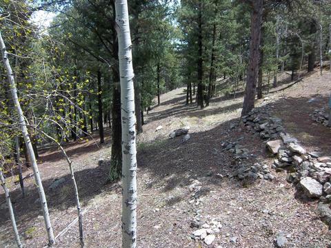 15041 S Delta Ln, Pine, CO 80470 photo 18