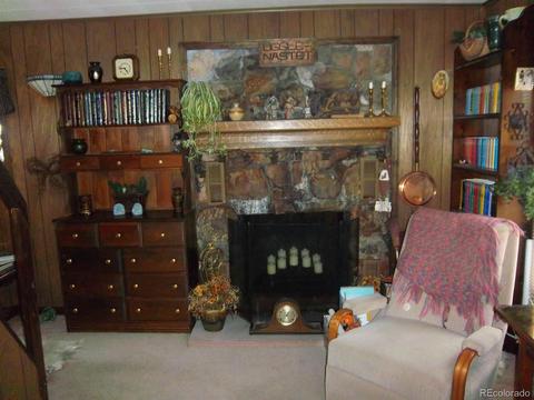 15041 S Delta Ln, Pine, CO 80470 photo 11