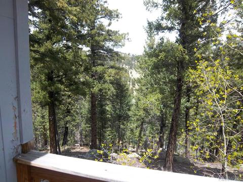 15041 S Delta Ln, Pine, CO 80470 photo 16